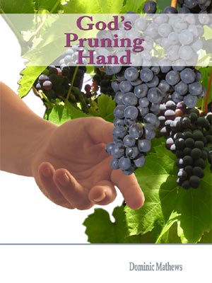 God's Pruning Hand